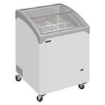Ларь морозильный Tefcold NIC101SCEB